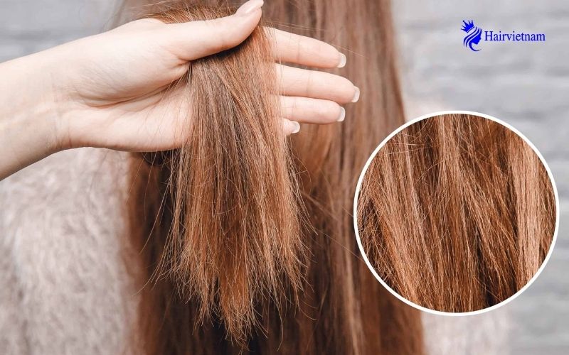 Dead Hair vs Healthy Hair Everything You Need to Know